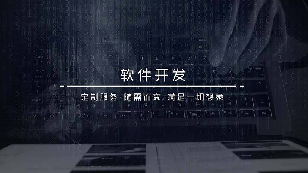 软件开发